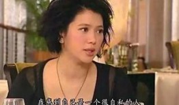 娱乐吃瓜酱袁咏仪,娱乐圈的“吃瓜酱”，揭秘明星背后的故事